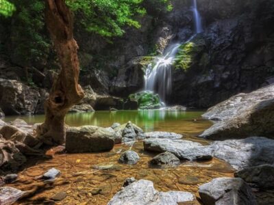 Erikli Şelale Kamp Alani