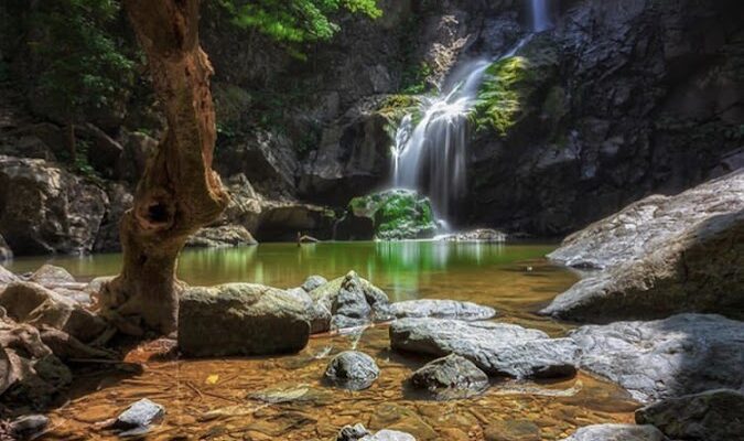 Erikli Şelale Kamp Alani